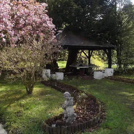 Propriete Bordee D'etangs, Propice A La Detente * Florenville